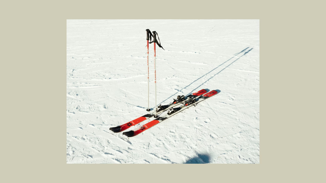 开云体育app下载-《大西洋月刊》丨加州最惨烈雪崩背后的致命抉择